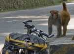 Спортивный велосипедный поход по индийским Гималаям от грани...