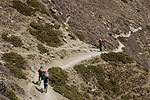 Гималаи. Непал. Долина Катманду + трек вокруг горы с большой...